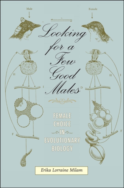 ebook Looking for a Few Good Males Erika L. Milam
