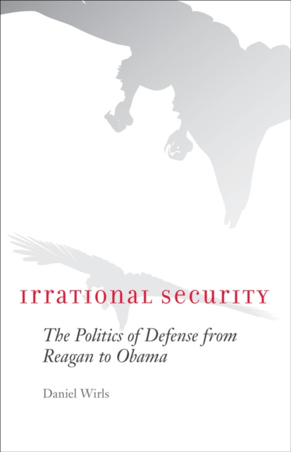 E-book Irrational Security Daniel Wirls
