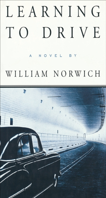 E-kniha Learning to Drive William Norwich