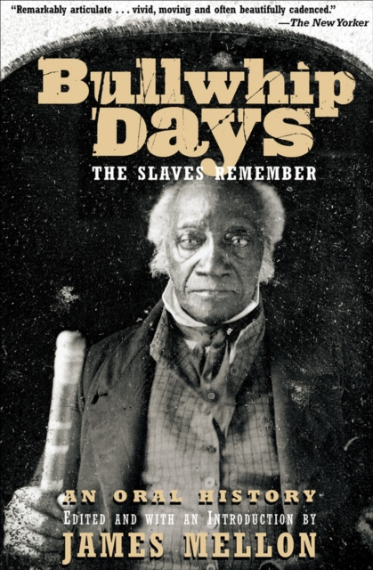E-Book Bullwhip Days James Mellon