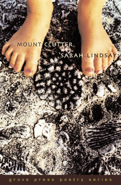E-knjiga Mount Clutter Sarah Lindsay