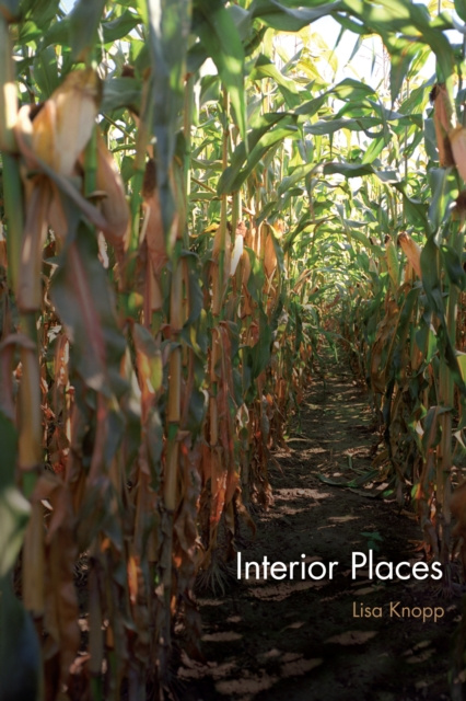 E-book Interior Places Knopp