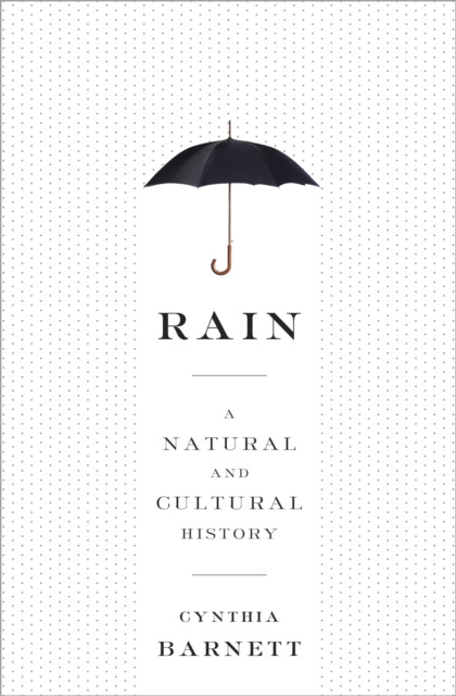 E-knjiga Rain Cynthia Barnett