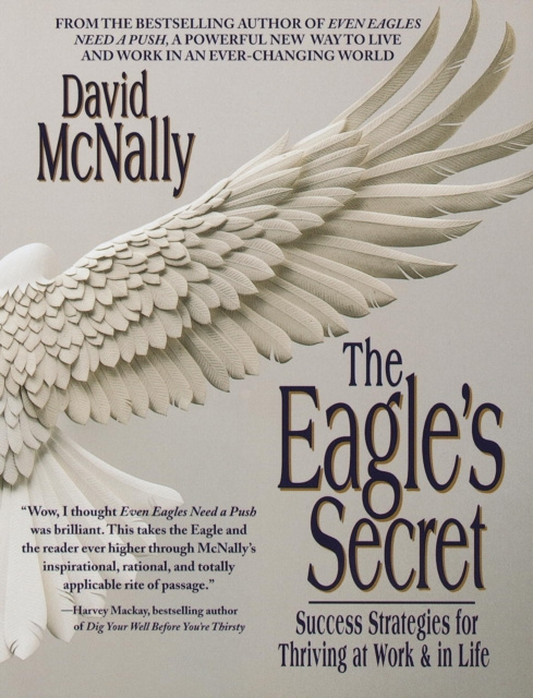 E-book Eagle's Secret David McNally
