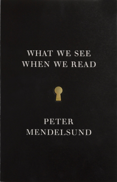 E-kniha What We See When We Read Peter Mendelsund