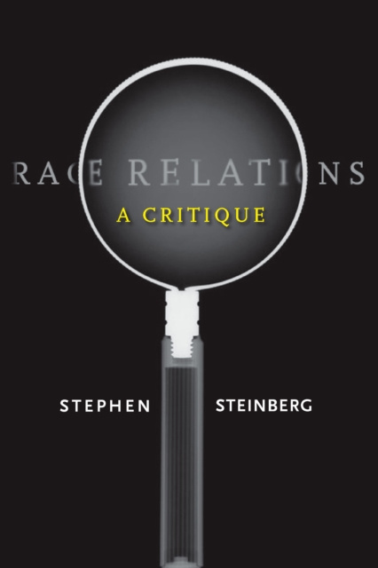 E-book Race Relations Stephen Steinberg