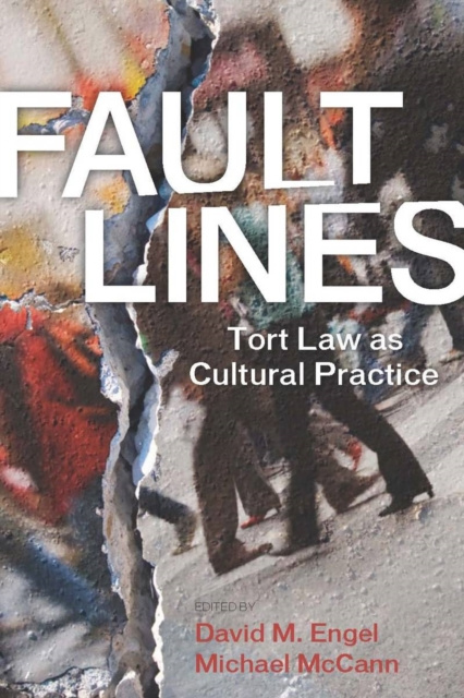 E-book Fault Lines David M. Engel