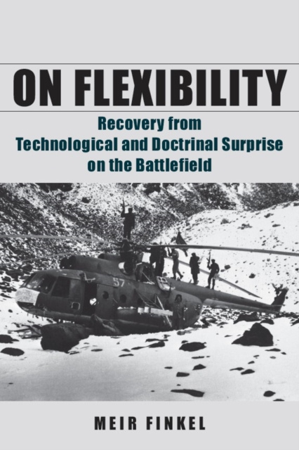 E-knjiga On Flexibility Meir Finkel