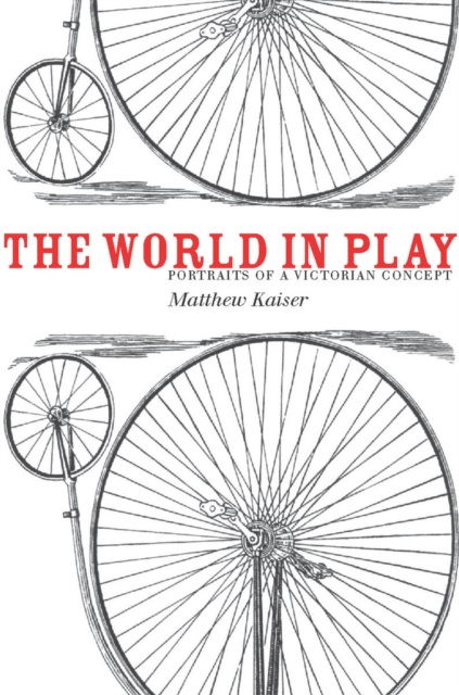 E-Book World in Play Matthew Kaiser