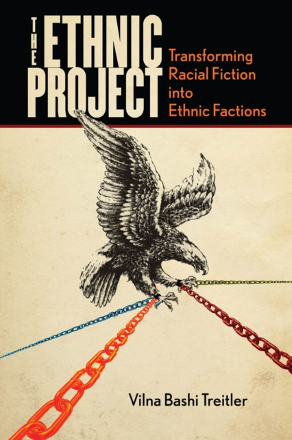 E-book Ethnic Project Vilna Bashi Treitler