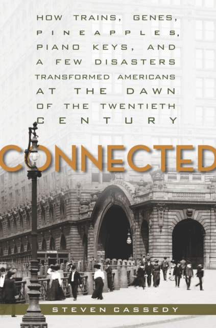 E-knjiga Connected Steven Cassedy