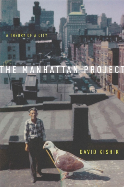 E-knjiga Manhattan Project David Kishik