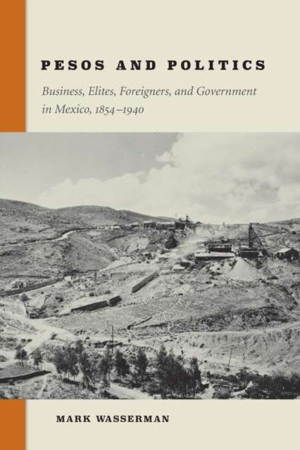 E-book Pesos and Politics Mark Wasserman