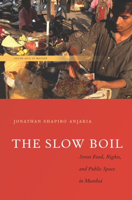 E-book Slow Boil Jonathan Shapiro Anjaria