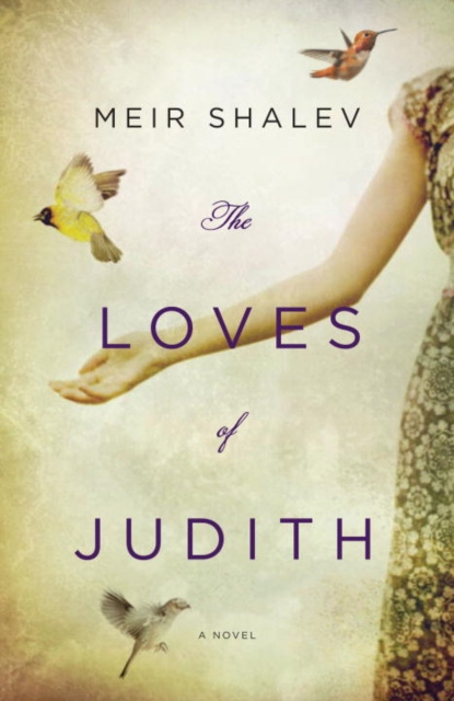 E-kniha Loves of Judith Meir Shalev