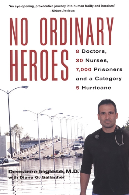 E-book No Ordinary Heroes: Demaree Inglese