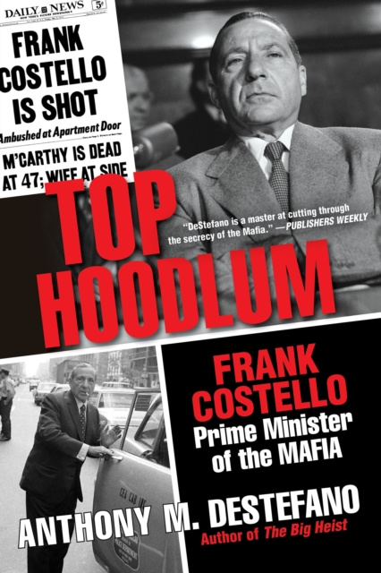 E-kniha Top Hoodlum Anthony M. DeStefano