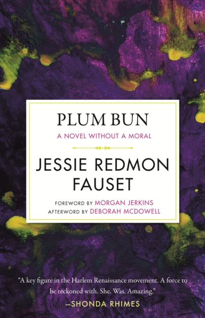 E-kniha Plum Bun Jessie Redmon Fauset