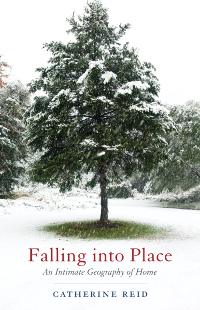 E-knjiga Falling into Place Catherine Reid