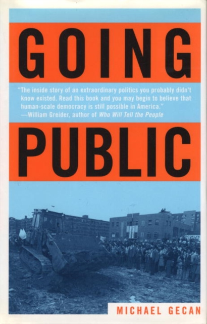 E-book Going Public Michael Gecan