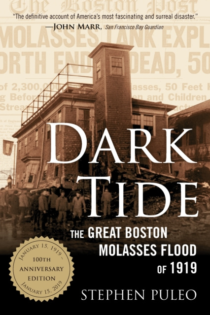 E-book Dark Tide Stephen Puleo