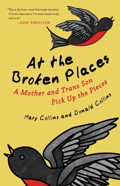 E-book At the Broken Places Mary Collins