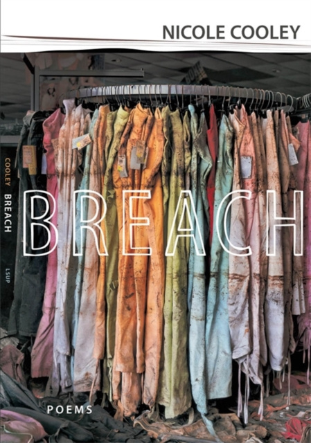 E-book Breach Richard Campanella