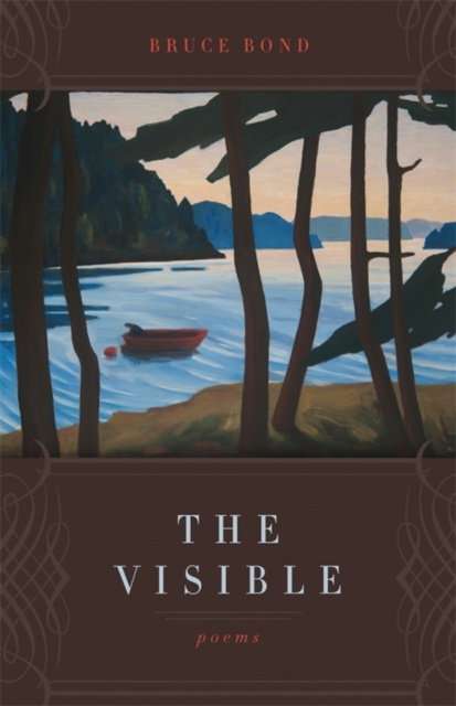 E-knjiga Visible Bruce Bond