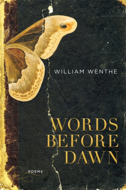 E-knjiga Words Before Dawn William Wenthe