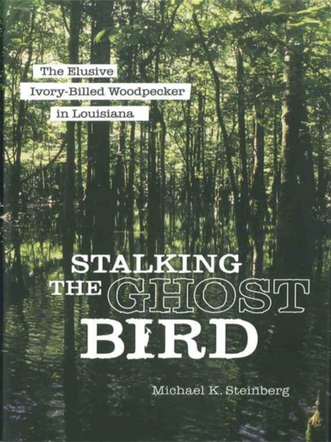 E-knjiga Stalking the Ghost Bird Michael K. Steinberg
