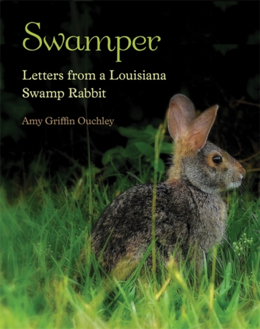 E-knjiga Swamper Amy Griffin Ouchley