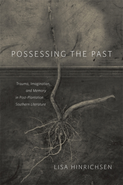 E-kniha Possessing the Past Lisa Hinrichsen