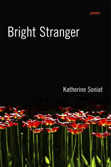 E-knjiga Bright Stranger Katherine Soniat