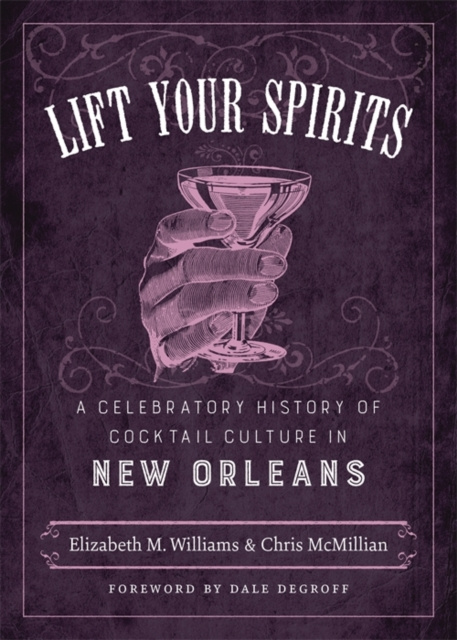 E-book Lift Your Spirits Elizabeth M. Williams
