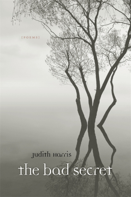 E-book Bad Secret Judith Harris