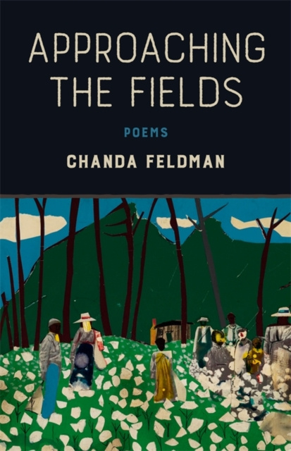 E-knjiga Approaching the Fields Chanda Feldman