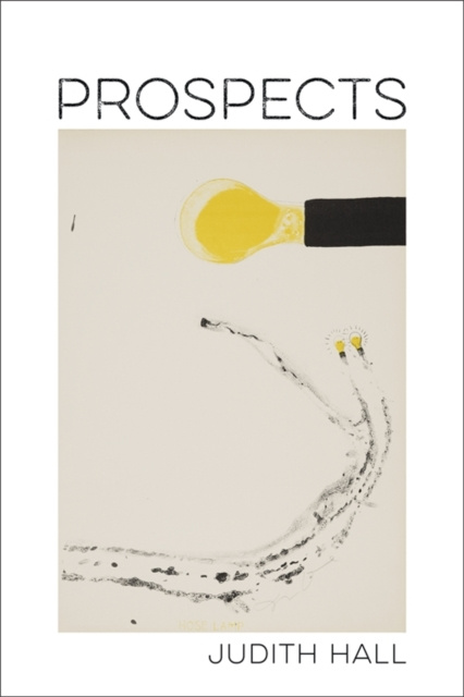 E-book Prospects Judith Hall