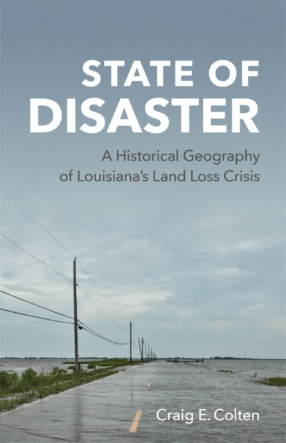 E-kniha State of Disaster Craig E. Colten