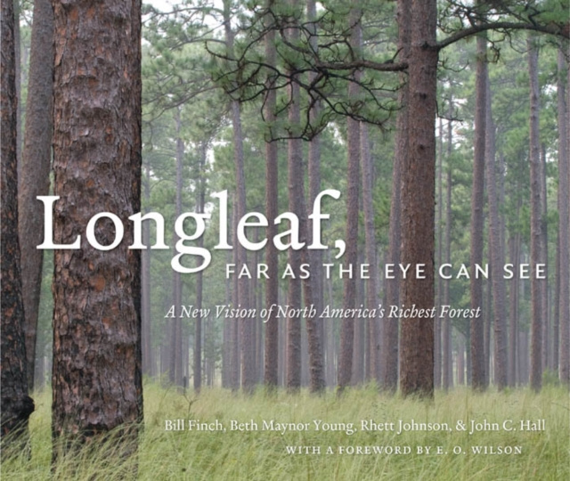 E-book Longleaf, Far as the Eye Can See Bill Finch