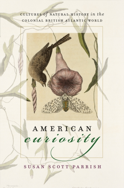 E-book American Curiosity Susan Scott Parrish