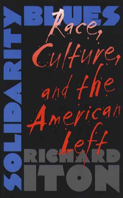 E-knjiga Solidarity Blues Richard Iton