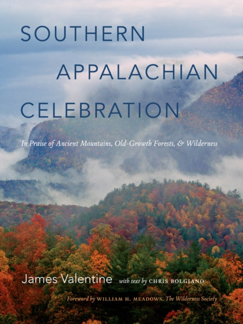E-book Southern Appalachian Celebration James Valentine