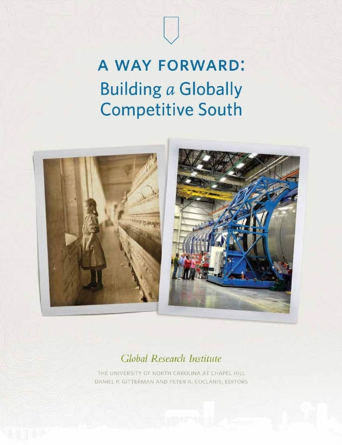 E-book Way Forward Daniel P. Gitterman
