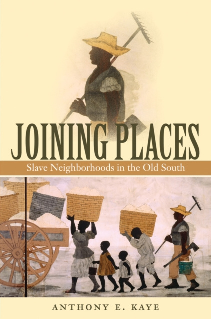 E-knjiga Joining Places Anthony E. Kaye