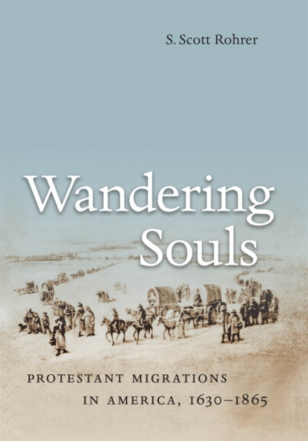E-book Wandering Souls S. Scott Rohrer