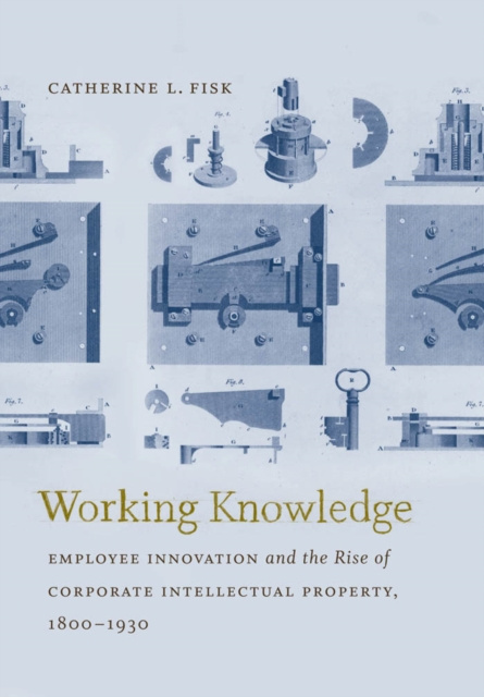 E-knjiga Working Knowledge Catherine L. Fisk
