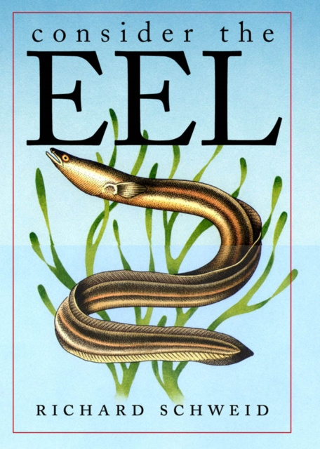 E-kniha Consider the Eel Richard Schweid