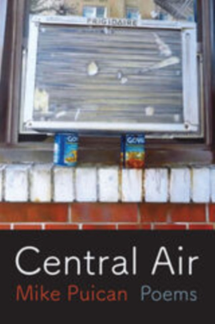 E-book Central Air Puican Mike Puican