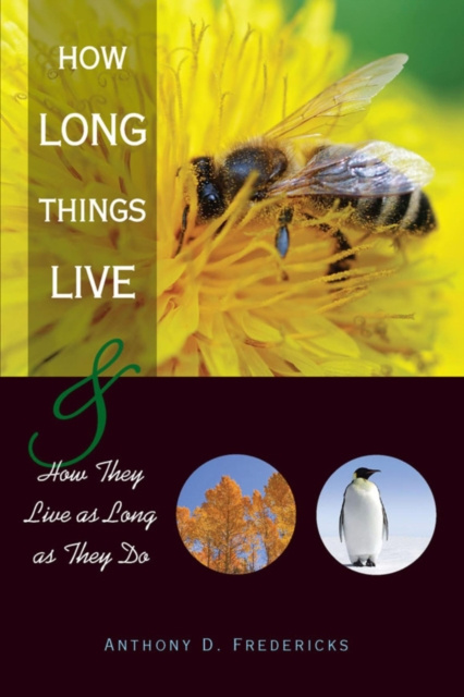 E-book How Long Things Live Anthony D. Fredericks