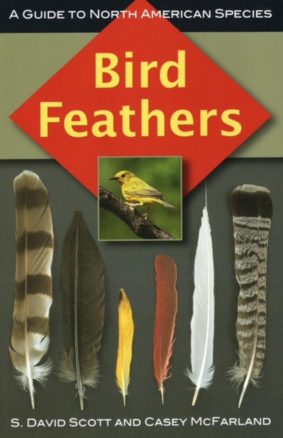 E-book Bird Feathers S. David Scott
